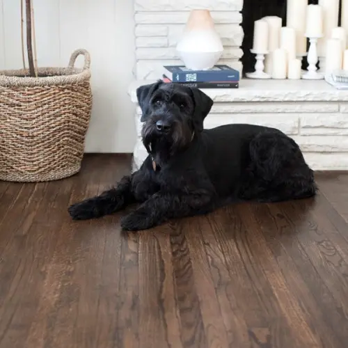 Масла и лаки для дерева TimberCare масло защитное с твердым воском timbercare hard wax oil, цвет шоколадный, 0,75л